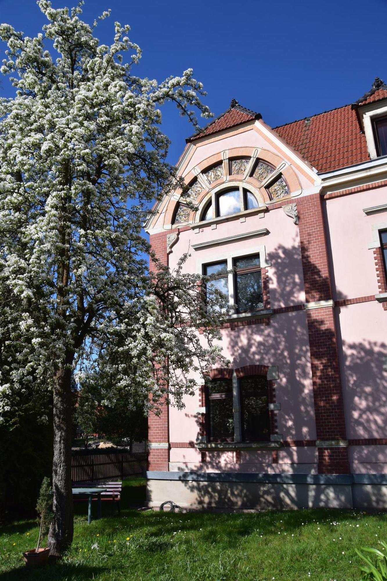 Ferienwohnung Und Pension "Zur Aue" Konigsbruck Εξωτερικό φωτογραφία