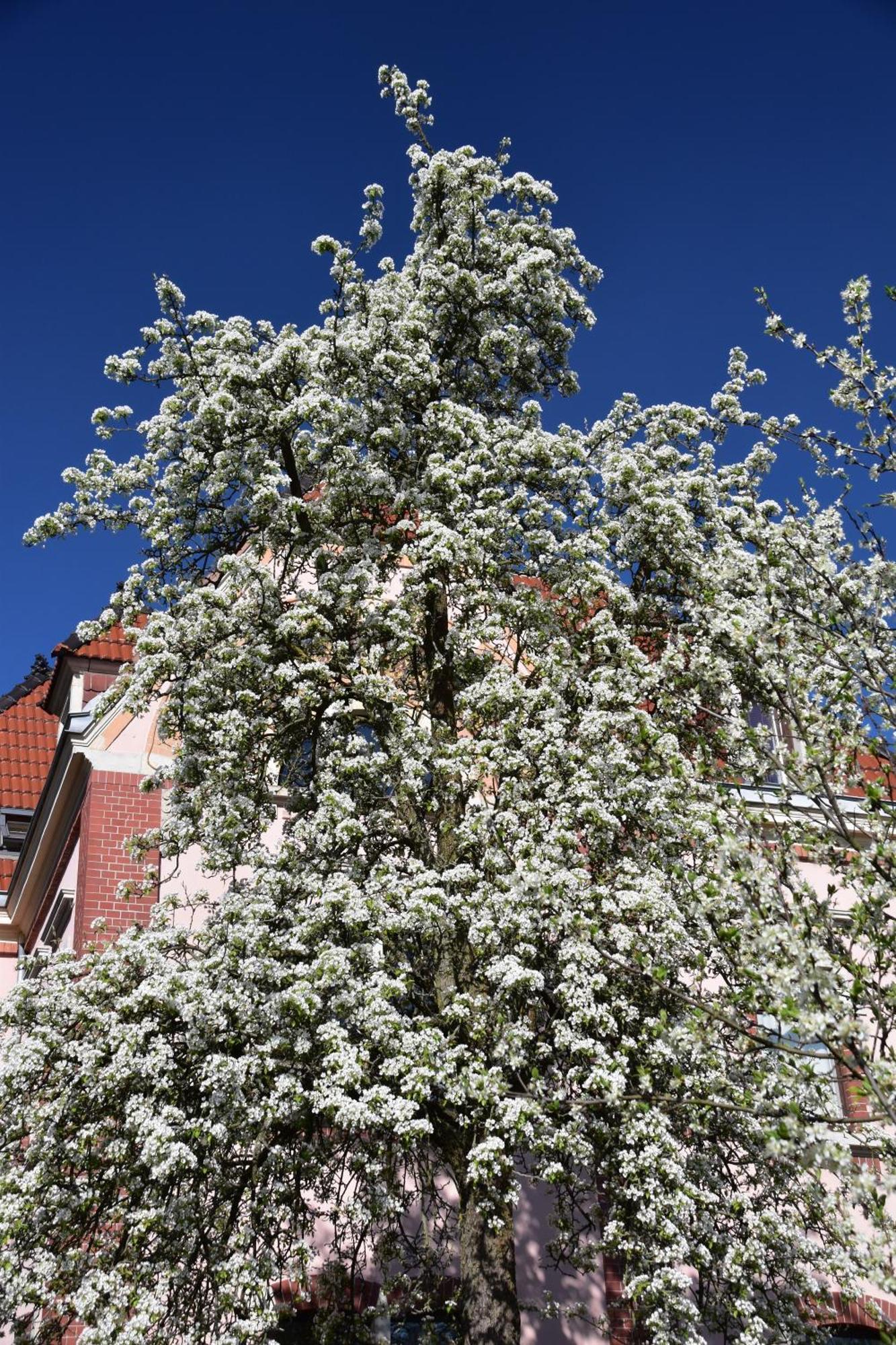 Ferienwohnung Und Pension "Zur Aue" Konigsbruck Εξωτερικό φωτογραφία